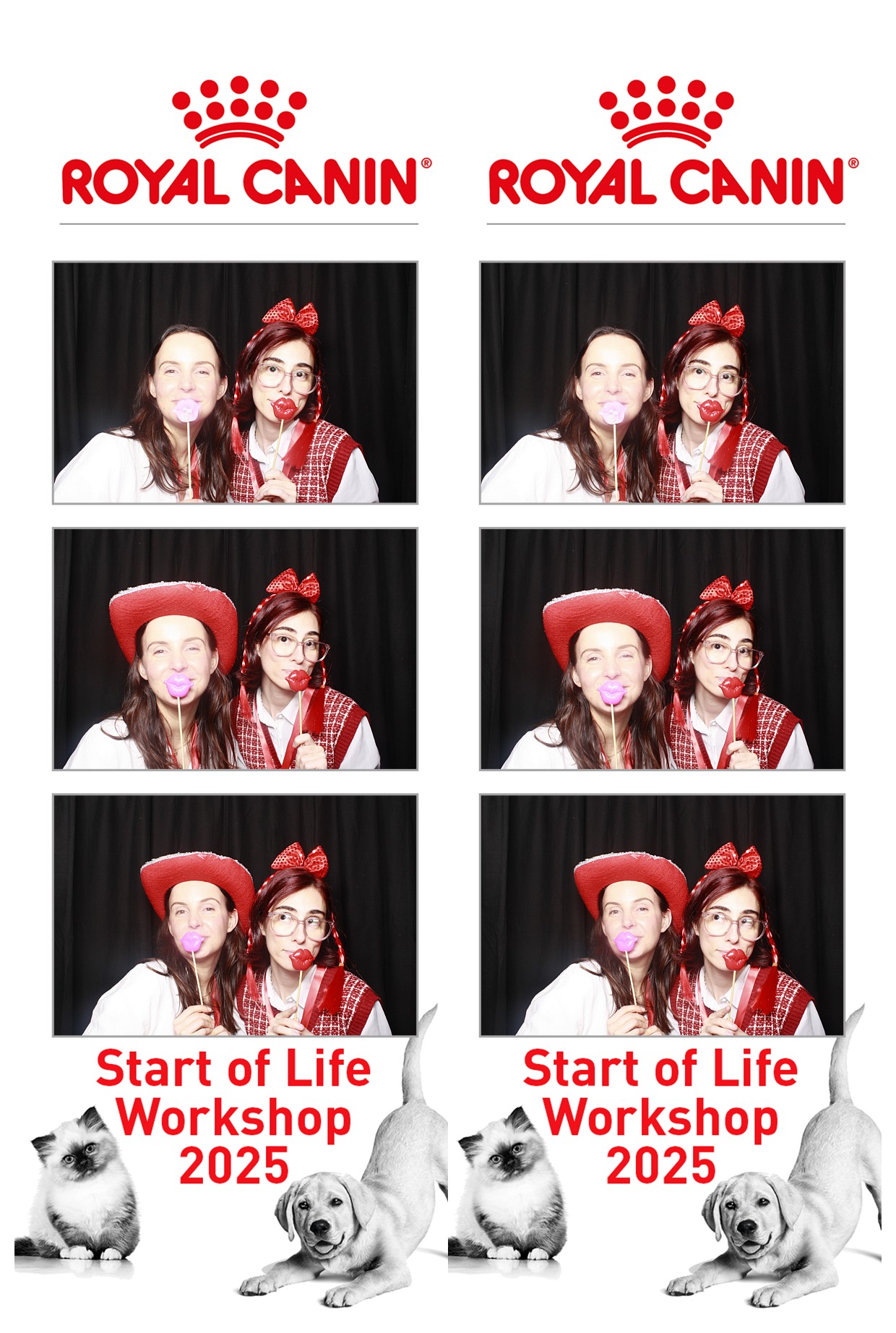 Royal Canin - Start of Life Workshop  2025 Wellington | View more photos from the event at wgtngallery.classicphotobooths.co.nz/u/wgtncpbgallery/Royal-Canin-Start-of-Life-Workshop-2025-Wellington