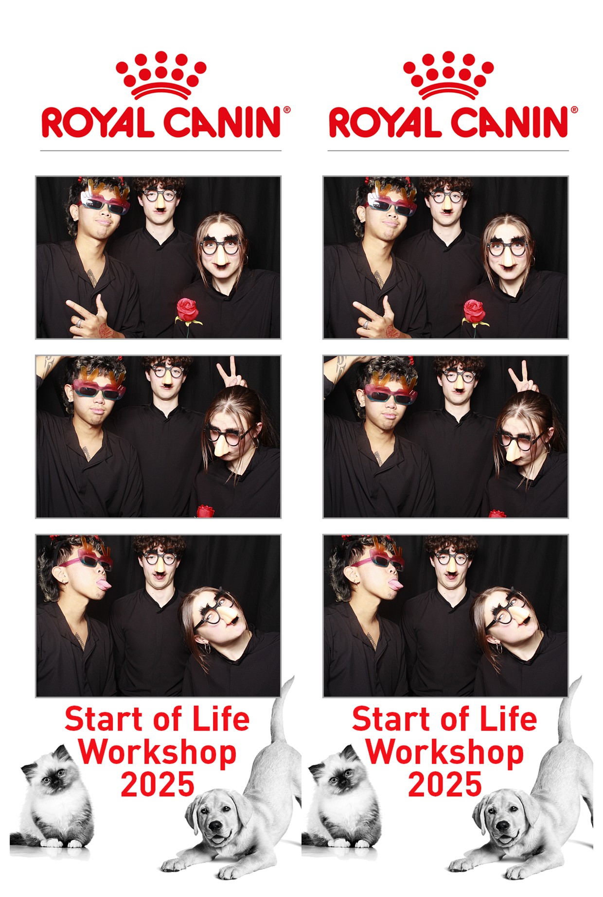 Royal Canin - Start of Life Workshop  2025 Wellington | View more photos from the event at wgtngallery.classicphotobooths.co.nz/u/wgtncpbgallery/Royal-Canin-Start-of-Life-Workshop-2025-Wellington