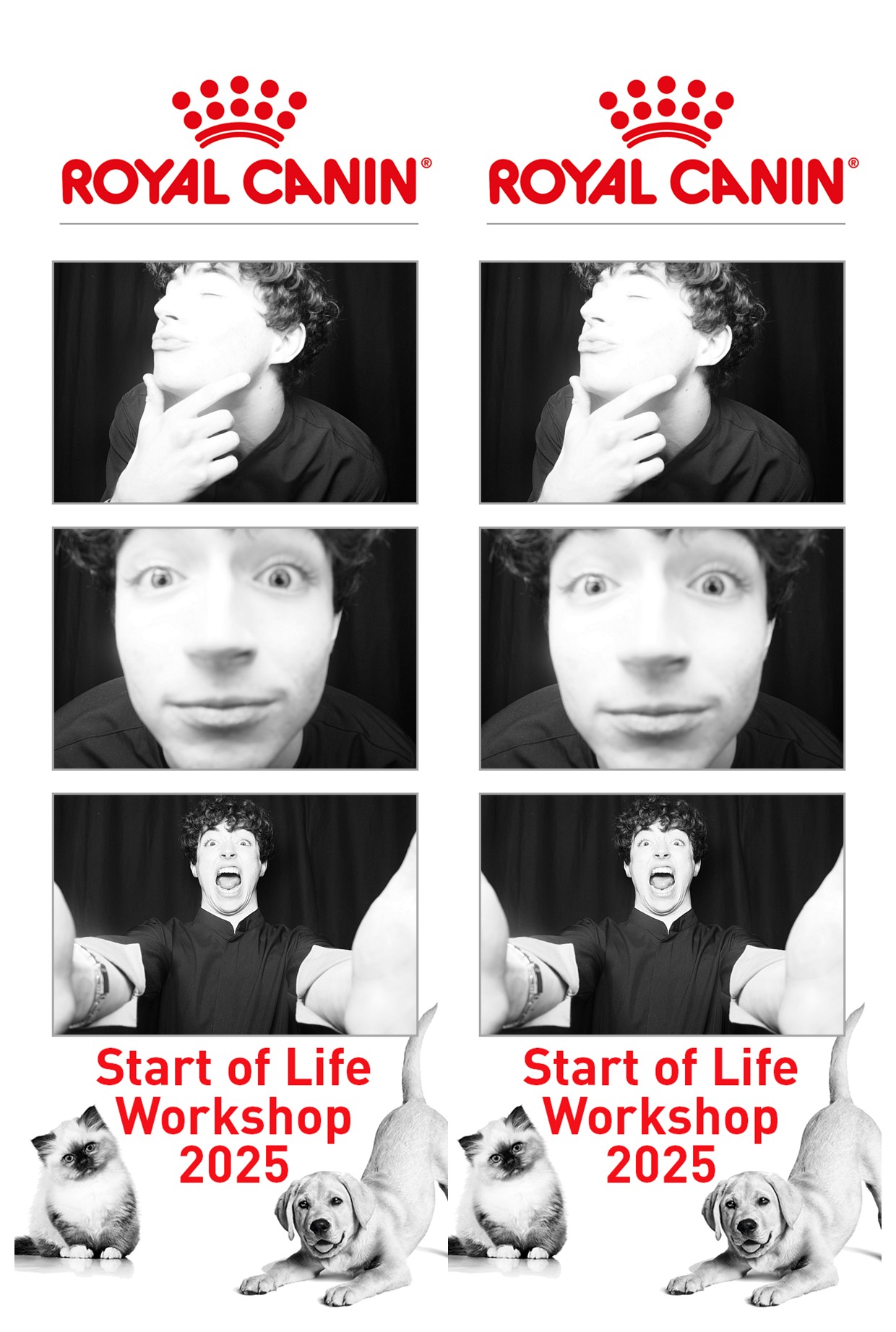 Royal Canin - Start of Life Workshop  2025 Wellington | View more photos from the event at wgtngallery.classicphotobooths.co.nz/u/wgtncpbgallery/Royal-Canin-Start-of-Life-Workshop-2025-Wellington