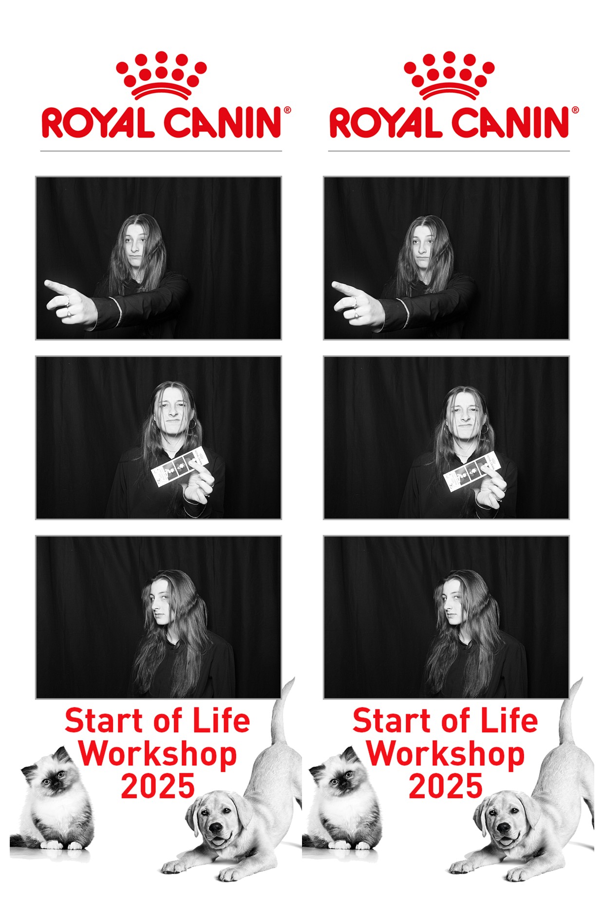 Royal Canin - Start of Life Workshop  2025 Wellington | View more photos from the event at wgtngallery.classicphotobooths.co.nz/u/wgtncpbgallery/Royal-Canin-Start-of-Life-Workshop-2025-Wellington