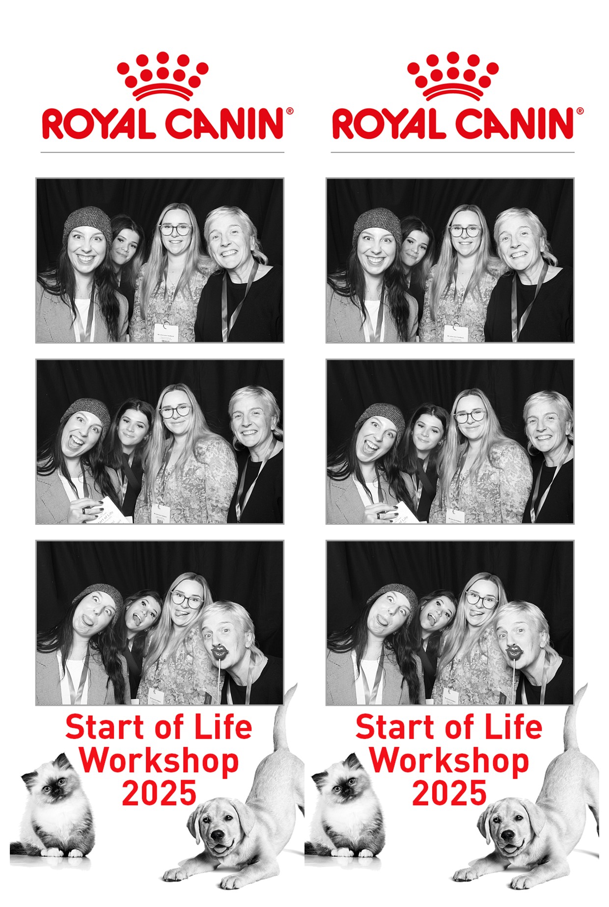 Royal Canin - Start of Life Workshop  2025 Wellington | View more photos from the event at wgtngallery.classicphotobooths.co.nz/u/wgtncpbgallery/Royal-Canin-Start-of-Life-Workshop-2025-Wellington
