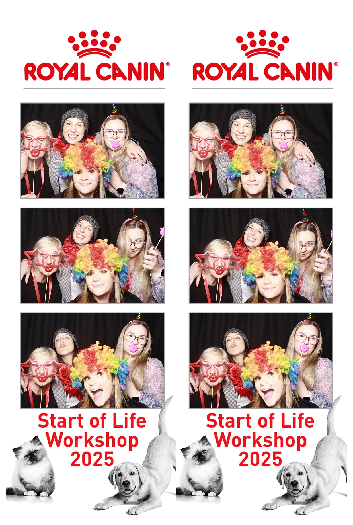 Royal Canin - Start of Life Workshop  2025 Wellington | View more photos from the event at wgtngallery.classicphotobooths.co.nz/u/wgtncpbgallery/Royal-Canin-Start-of-Life-Workshop-2025-Wellington