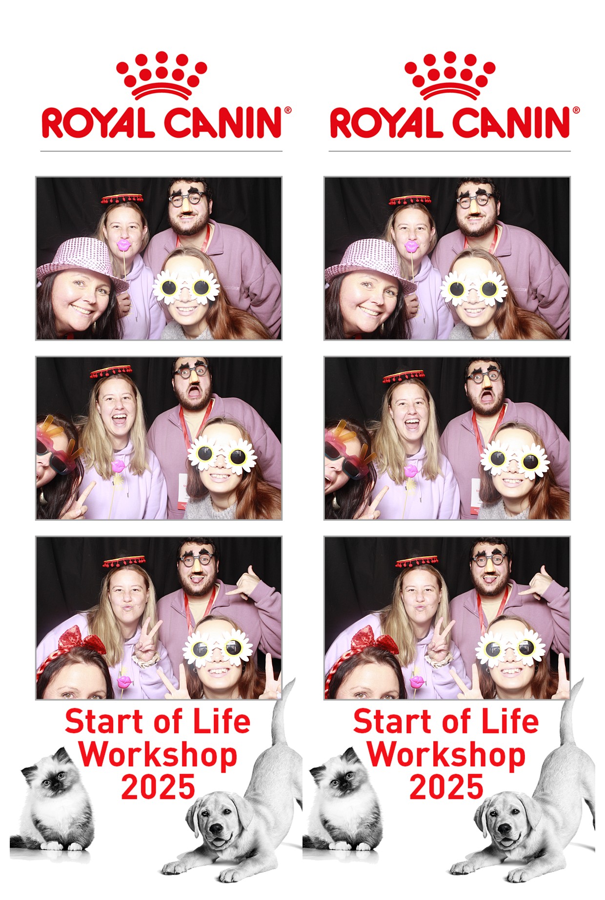 Royal Canin - Start of Life Workshop  2025 Wellington | View more photos from the event at wgtngallery.classicphotobooths.co.nz/u/wgtncpbgallery/Royal-Canin-Start-of-Life-Workshop-2025-Wellington