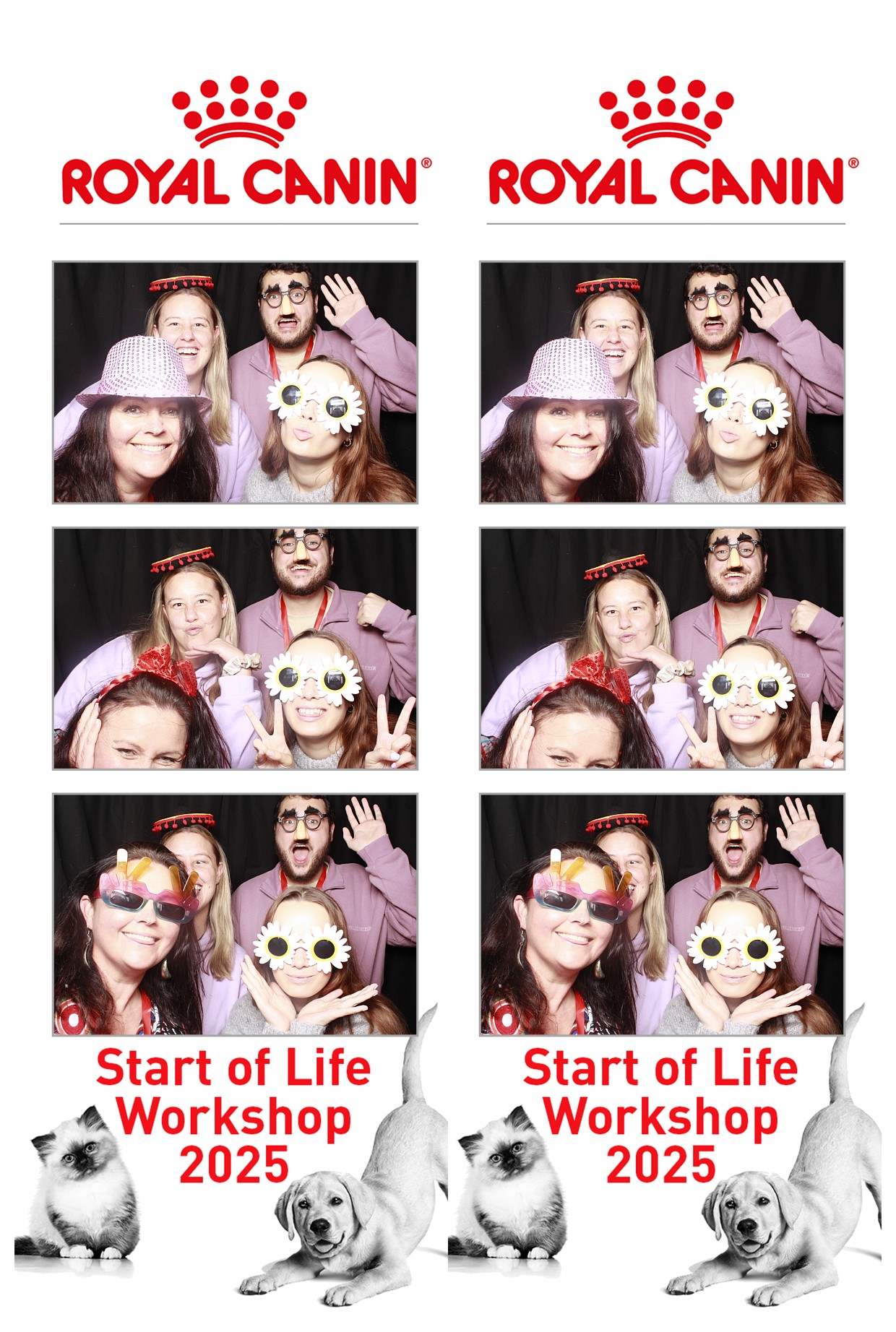 Royal Canin - Start of Life Workshop  2025 Wellington | View more photos from the event at wgtngallery.classicphotobooths.co.nz/u/wgtncpbgallery/Royal-Canin-Start-of-Life-Workshop-2025-Wellington