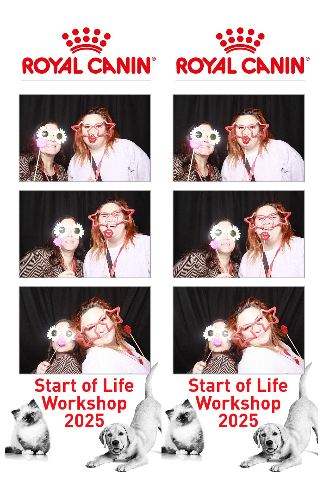 Royal Canin - Start of Life Workshop  2025 Wellington | View more photos from the event at wgtngallery.classicphotobooths.co.nz/u/wgtncpbgallery/Royal-Canin-Start-of-Life-Workshop-2025-Wellington