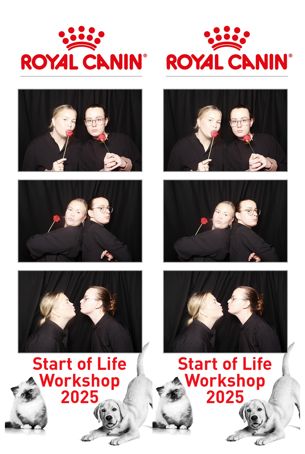 Royal Canin - Start of Life Workshop  2025 Wellington | View more photos from the event at wgtngallery.classicphotobooths.co.nz/u/wgtncpbgallery/Royal-Canin-Start-of-Life-Workshop-2025-Wellington