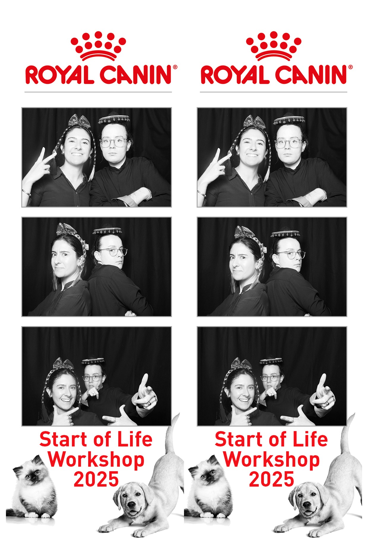 Royal Canin - Start of Life Workshop  2025 Wellington | View more photos from the event at wgtngallery.classicphotobooths.co.nz/u/wgtncpbgallery/Royal-Canin-Start-of-Life-Workshop-2025-Wellington