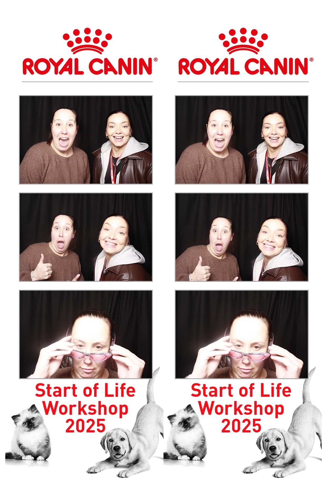 Royal Canin - Start of Life Workshop  2025 Wellington | View more photos from the event at wgtngallery.classicphotobooths.co.nz/u/wgtncpbgallery/Royal-Canin-Start-of-Life-Workshop-2025-Wellington