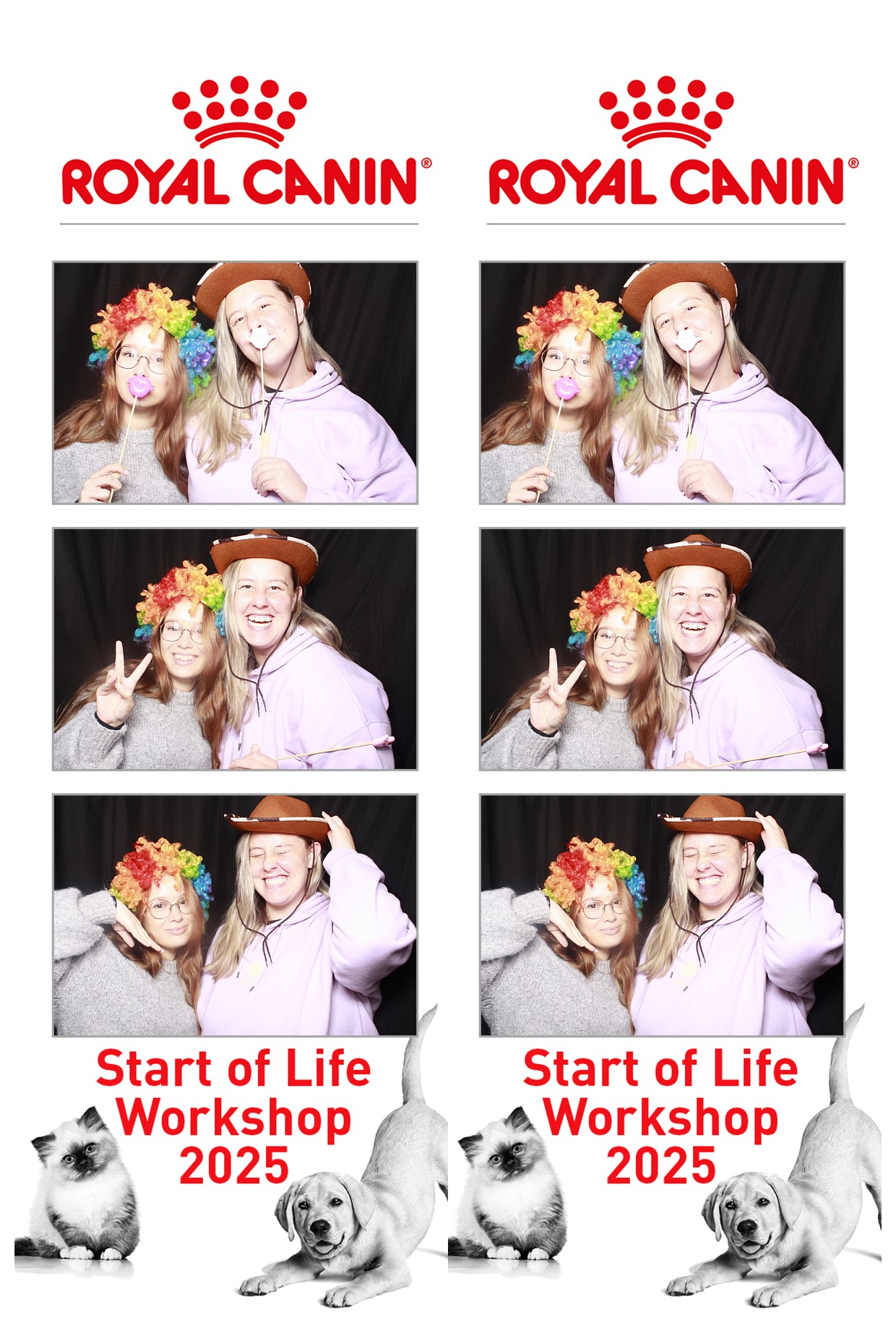 Royal Canin - Start of Life Workshop  2025 Wellington | View more photos from the event at wgtngallery.classicphotobooths.co.nz/u/wgtncpbgallery/Royal-Canin-Start-of-Life-Workshop-2025-Wellington