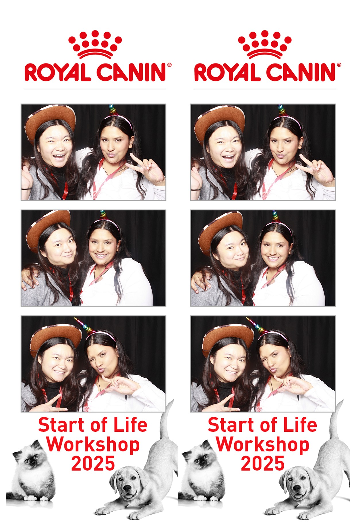 Royal Canin - Start of Life Workshop  2025 Wellington | View more photos from the event at wgtngallery.classicphotobooths.co.nz/u/wgtncpbgallery/Royal-Canin-Start-of-Life-Workshop-2025-Wellington