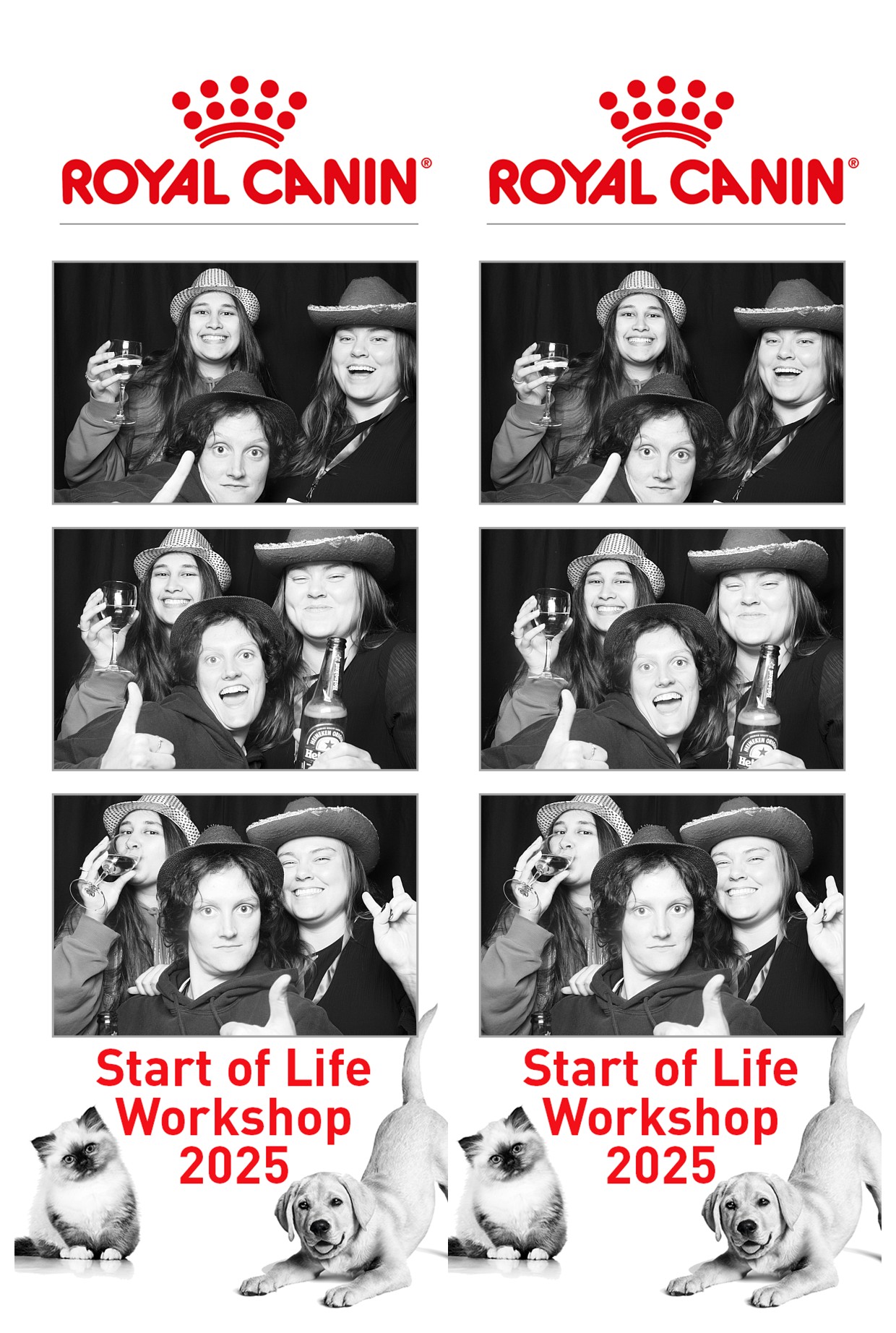 Royal Canin - Start of Life Workshop  2025 Wellington | View more photos from the event at wgtngallery.classicphotobooths.co.nz/u/wgtncpbgallery/Royal-Canin-Start-of-Life-Workshop-2025-Wellington