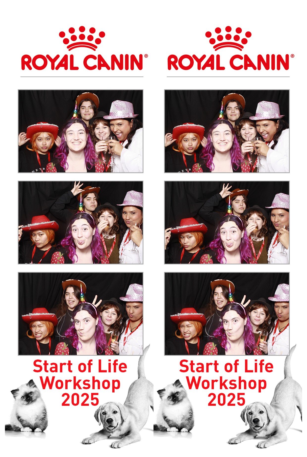 Royal Canin - Start of Life Workshop  2025 Wellington | View more photos from the event at wgtngallery.classicphotobooths.co.nz/u/wgtncpbgallery/Royal-Canin-Start-of-Life-Workshop-2025-Wellington